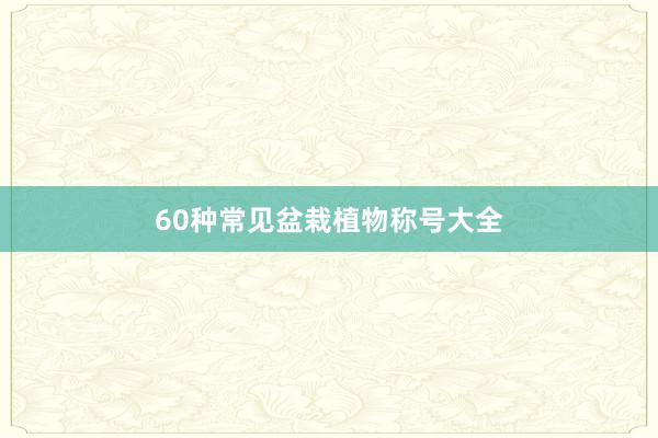60种常见盆栽植物称号大全