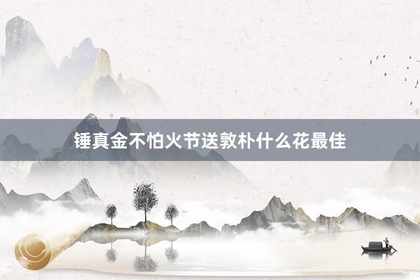 锤真金不怕火节送敦朴什么花最佳
