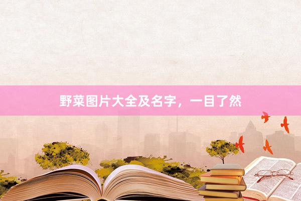 野菜图片大全及名字，一目了然