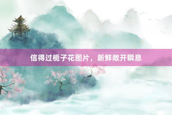 信得过栀子花图片，新鲜敞开瞬息