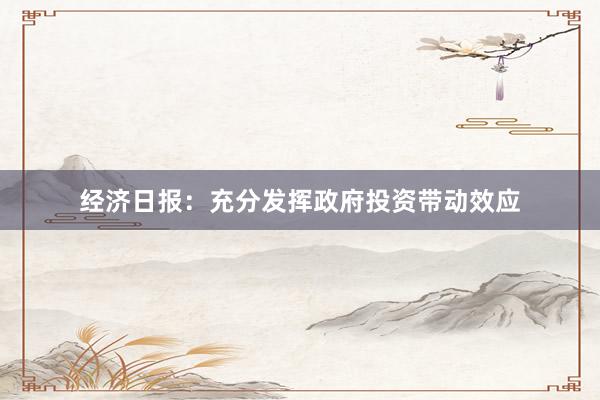 经济日报：充分发挥政府投资带动效应