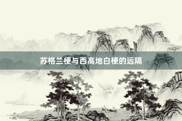 苏格兰梗与西高地白梗的远隔