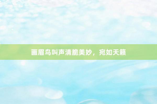 画眉鸟叫声清脆美妙，宛如天籁