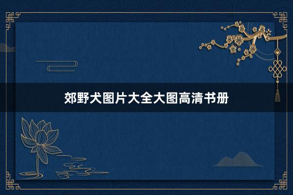 郊野犬图片大全大图高清书册