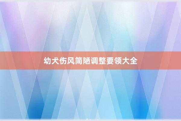 幼犬伤风简陋调整要领大全